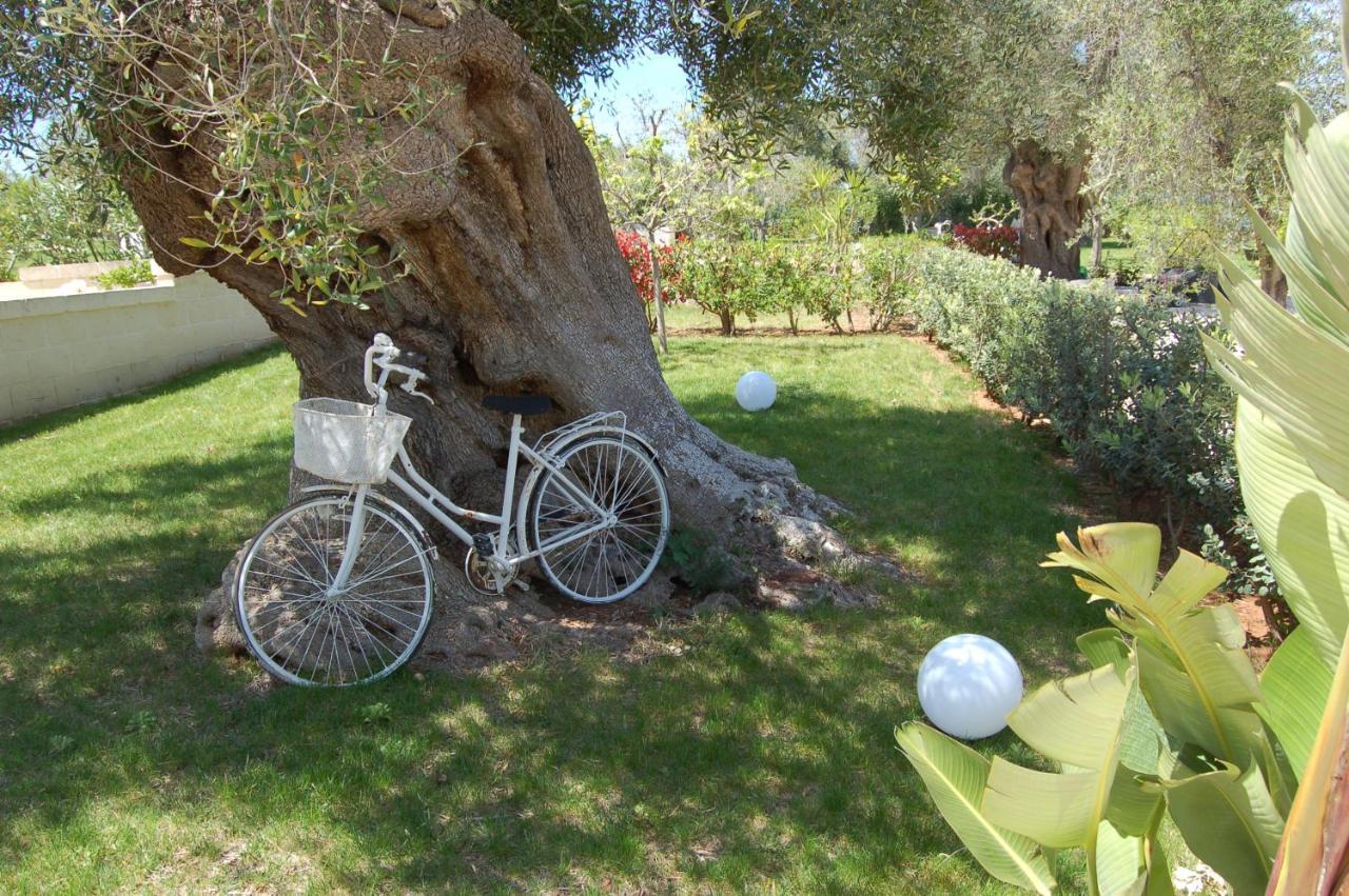 Tenuta Verdolivo ออสตูนี ภายนอก รูปภาพ